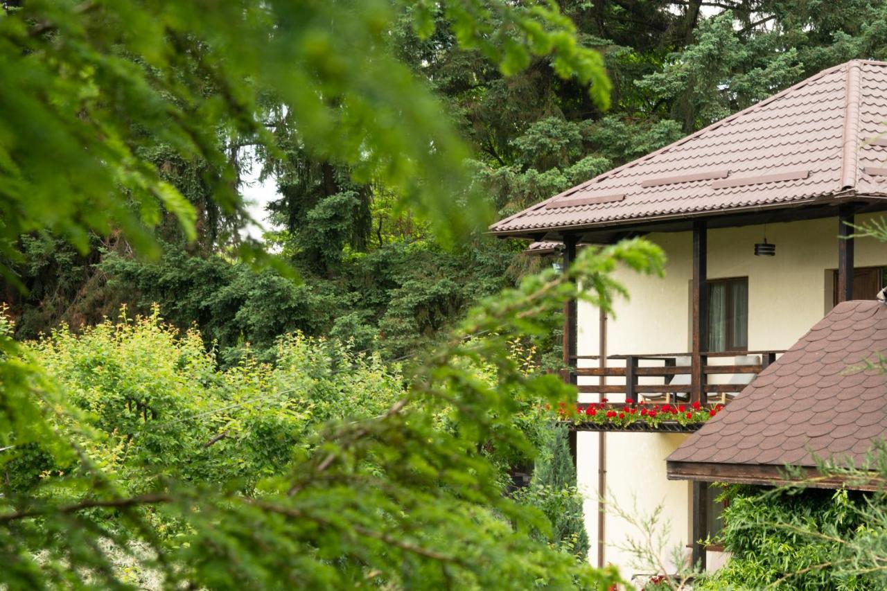 Pension Andra'S House Хорезу Екстер'єр фото