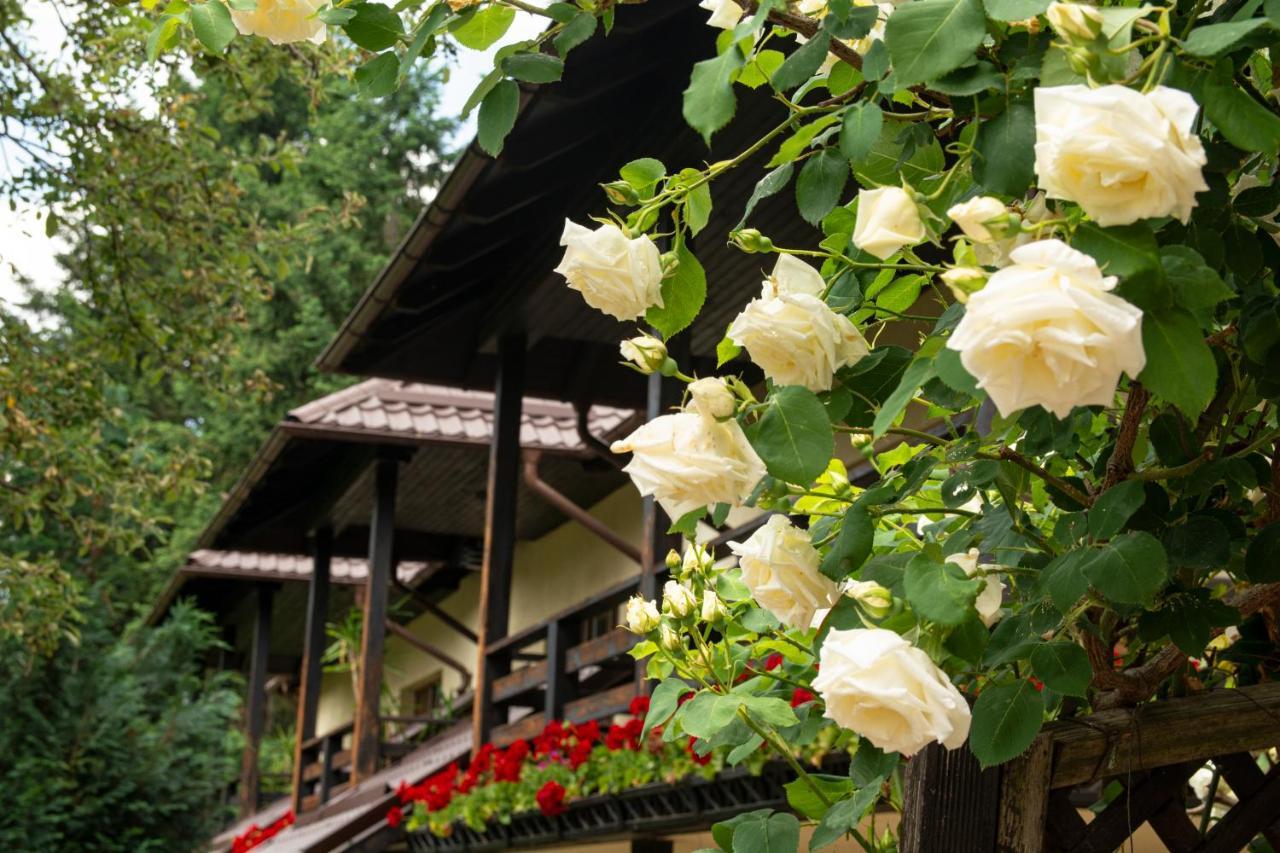Pension Andra'S House Хорезу Екстер'єр фото
