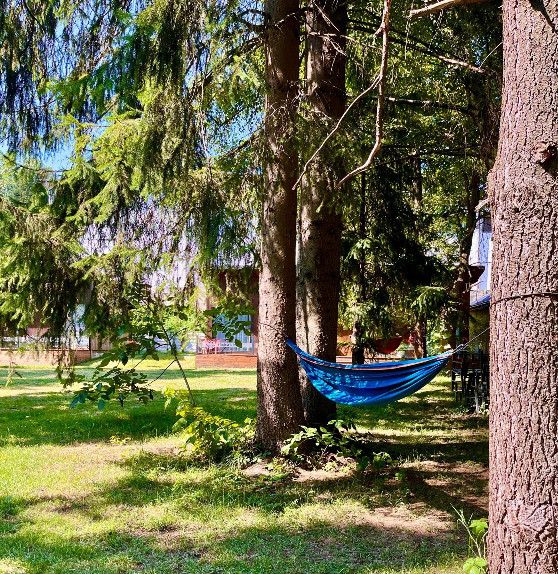 Pension Andra'S House Хорезу Екстер'єр фото